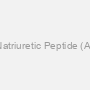 Bovine Atrial Natriuretic Peptide (ANP) ELISA Kit